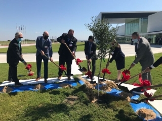 Planting trees